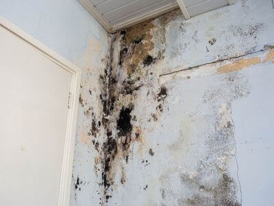 About Gilbert Water Damage Pros - water damage experts in Gilbert